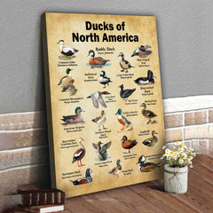 Maxcorners Ducks of North America Canvas – Educational Wall Art for Hunters & Nature Lovers