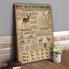 Maxcorners White-Tailed Deer Knowledge Canvas– Hunting Wall Art for Cabin, Lodge & Wildlife Lovers