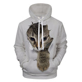 Maxcorners Sneaky Cat PT05