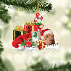 MAXCORNERS CAVALIER KING CHARLES SPANIEL MERRY CHRISTMAS HANGING ORNAMENT