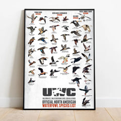 Maxcorners North American Waterfowl Species Poster Canvas – Duck & Goose Identification Chart - Waterfowl Poster for Hunters