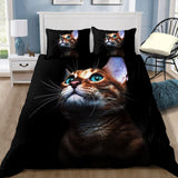 Maxcorners Cute Tabby Cat Bedding - Blanket